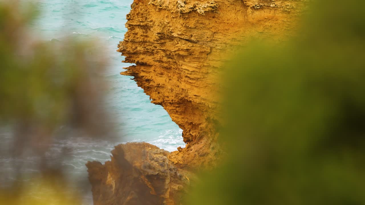 Golden cliffs and ocean waves framed by lush greenery, captured in natural daylight with a serene atmosphere