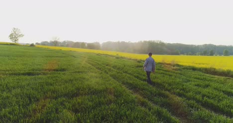 Agriculture-Male-Farmer-Walking-On-Track-Over-Agricultural-Field-While-Using-Digital-Tablet-20