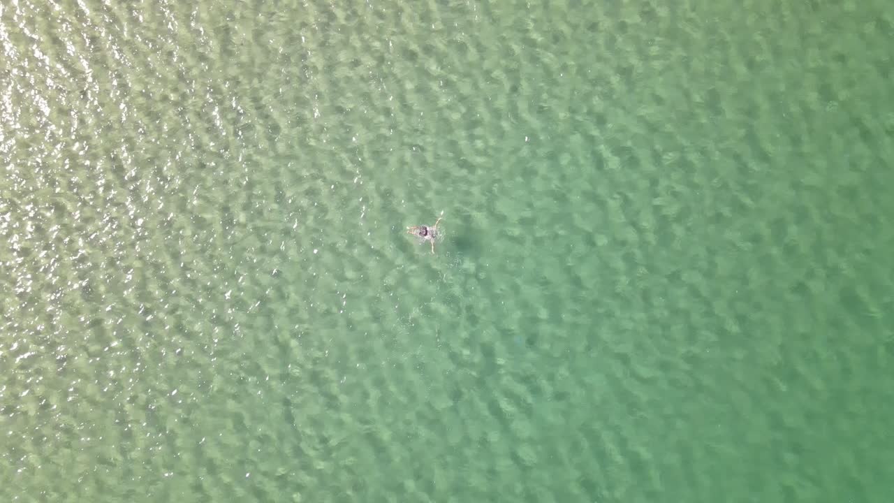 natación vacaciones mar vista aérea