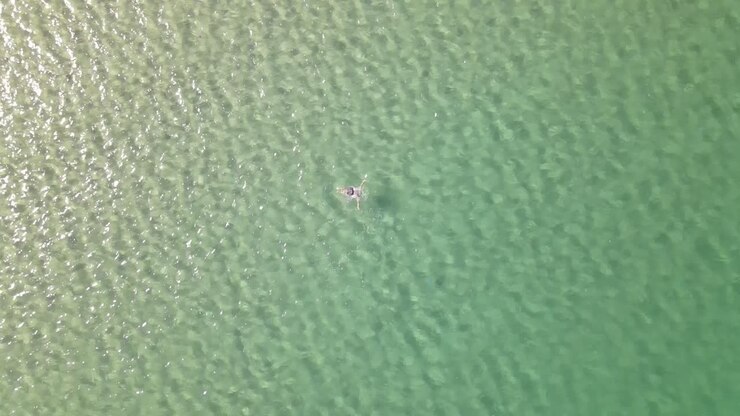 Swimming Holiday Sea Aerial View