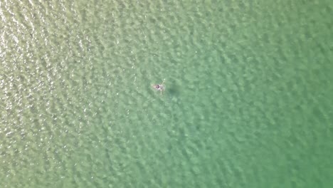 Swimming-Holiday-Sea-Aerial-View