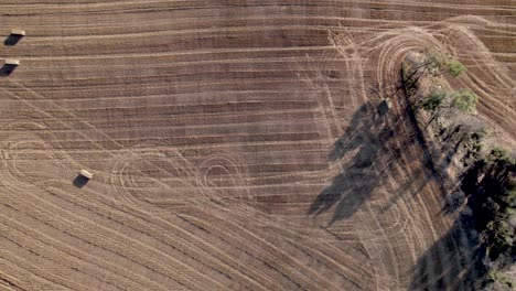 vista aérea lenta lateral de un campo de trigo después de la cosecha con sus balas de paja diseminadas en un día soleado en españa