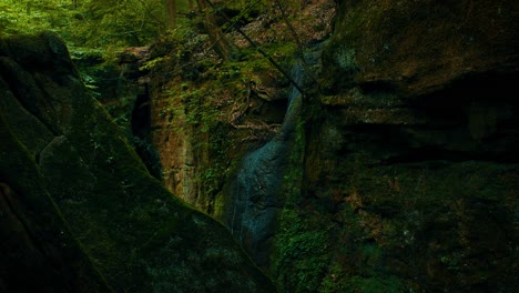 side view of a small waterfall trickling down a ledge surrounded by moss and fern covered rocks