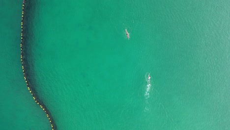 A-couple-swimming-towards-each-other,-Aerial-top-down-static