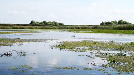 viajando por el delta del danubio - ancho