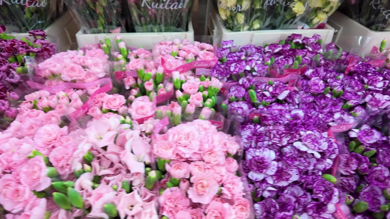 Garofani colorati assortiti esposti in un mercato dei fiori.