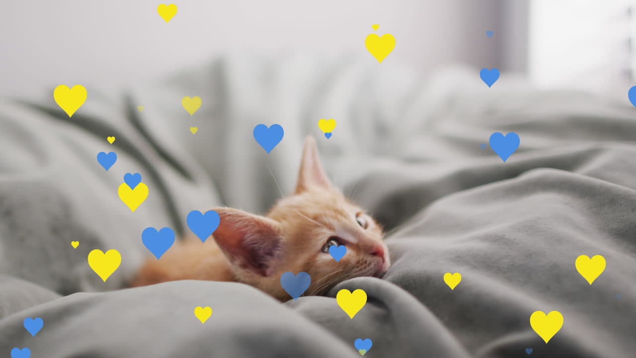 침대에 있는 고양이 위에 있는 심장 아이콘의 애니메이션