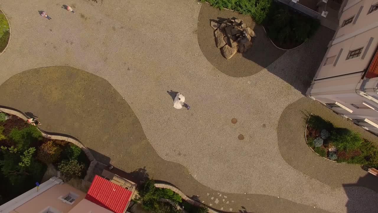 aerial view of a beautiful walk of the bride and groom