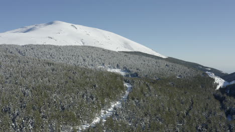 Stunning-snow-topped-mountain-and-pathway-through-blanket-of-pine-trees