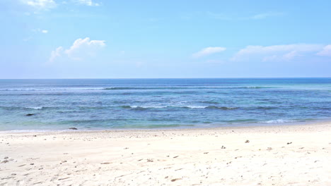 white butterfly flies along idyllic seashore on sunny day, yellow sand and sea waves slow tides in a beach