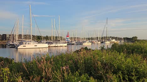 Vista-Del-Puerto-Deportivo-De-Aalborg-En-Un-Día-Soleado.