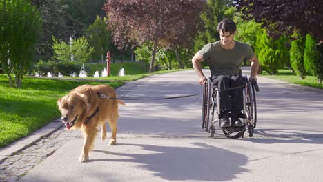 Un-Joven-Discapacitado-En-Silla-De-Ruedas-Camina-Con-Su-Perro.