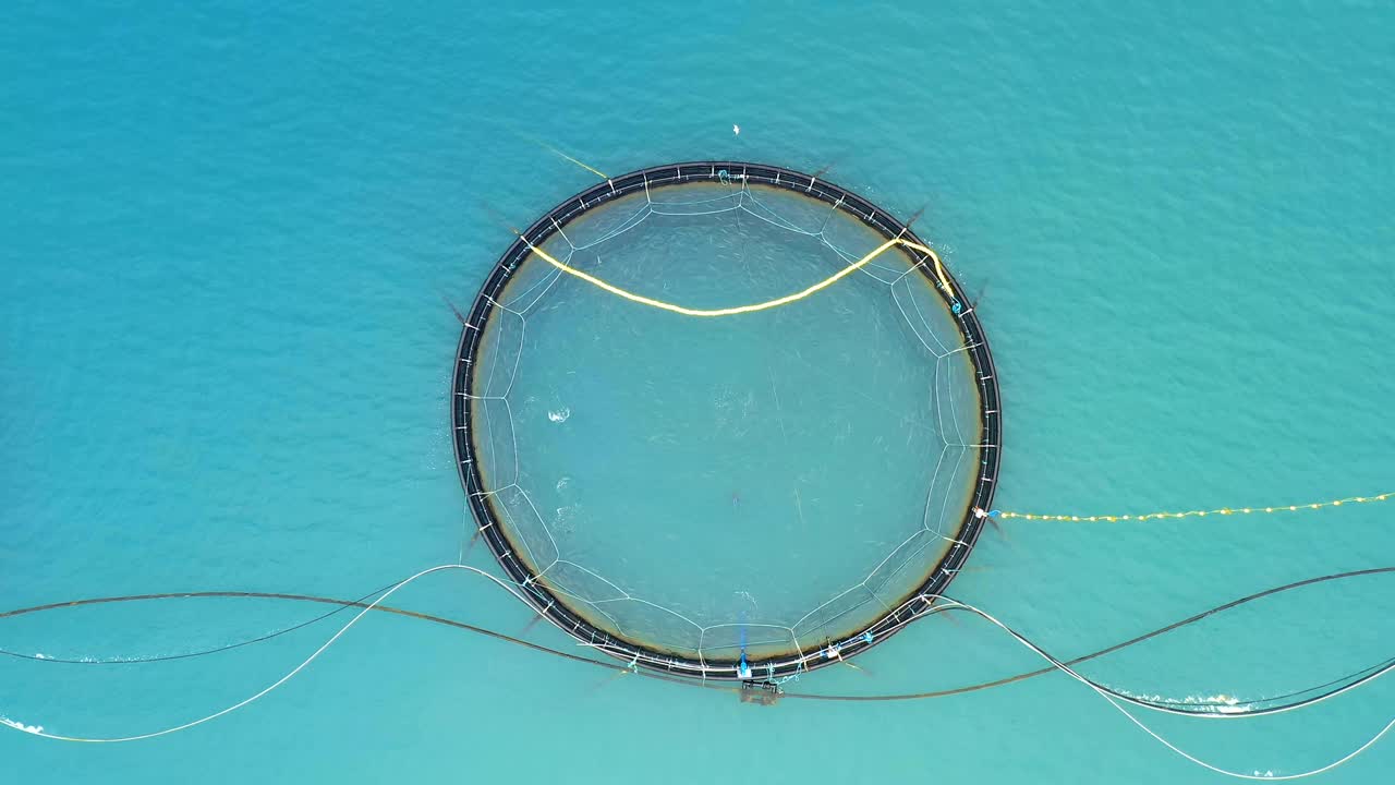 노르웨이에서 연어  ⁇ 시를 하는 공중 촬영