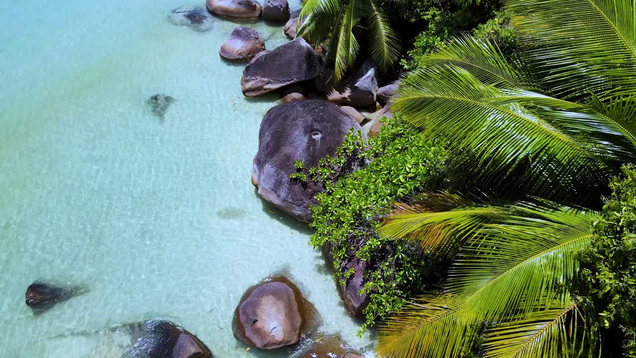 Seychelles La Digue Mergulho com Snorkel Parque Marinho6.mp4