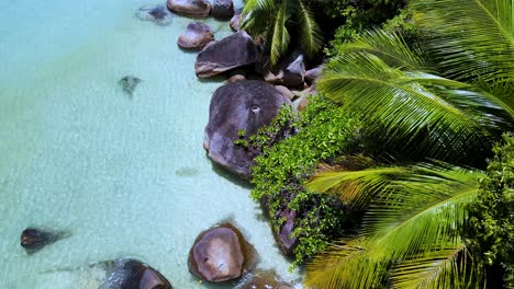 seychelles la digue snorkeling marine park6.mp4