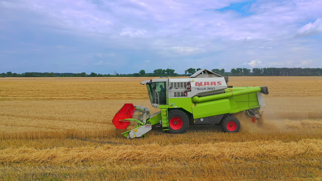 Aerial view of harvester in fields. Flying drone of harvesting gold wheat field