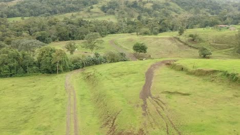 Una-Sartén-Sobre-Un-Valle-Exuberante-Mientras-Los-Caballos-Pastan