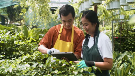 jardineros que trabajan en interiores