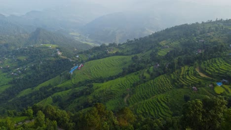 nepalese landscape overlooking terraced fields