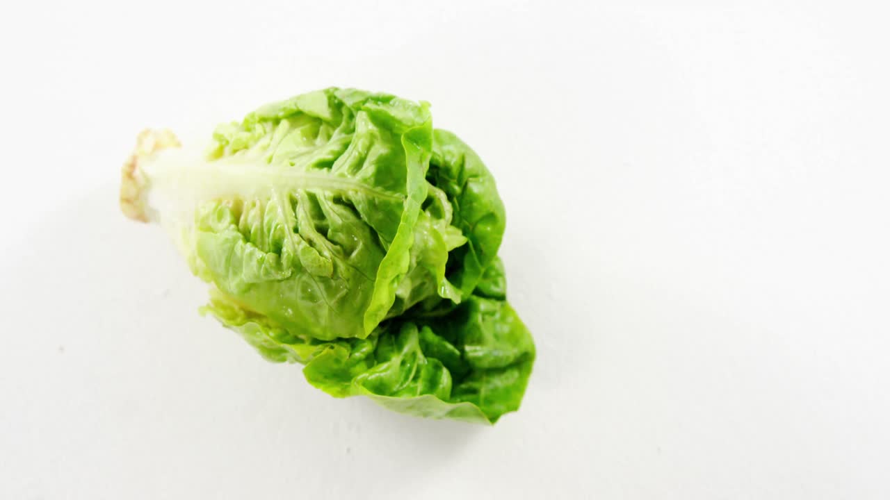 primer plano de la lechuga