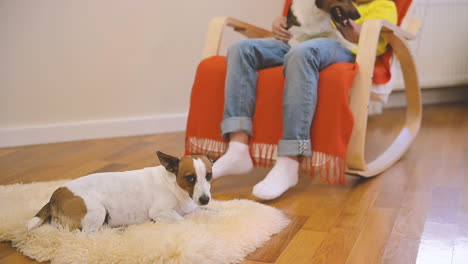 La-Cámara-Enfoca-A-Un-Perro-Tirado-En-El-Suelo,-Mientras-Un-Niño-Se-Balancea-En-La-Silla-Acariciando-A-Su-Otro-Perro