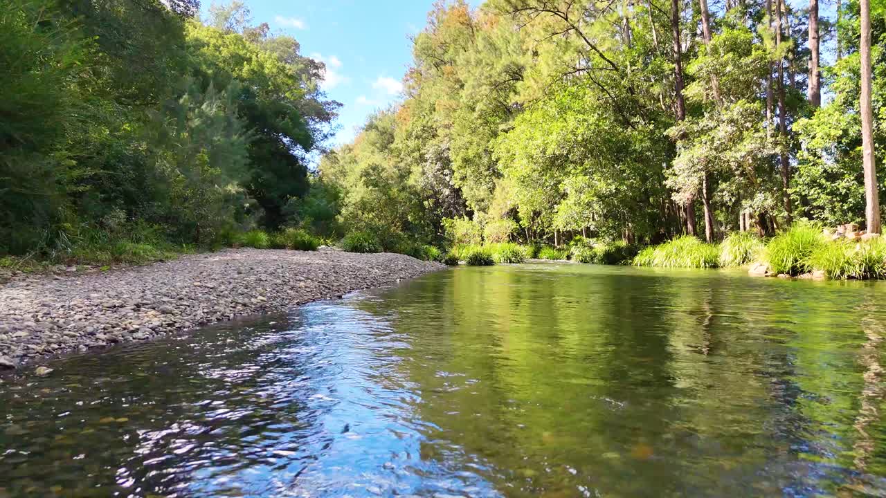 Low camera glides over rocky creek in lush forest, moving from dry bank to water