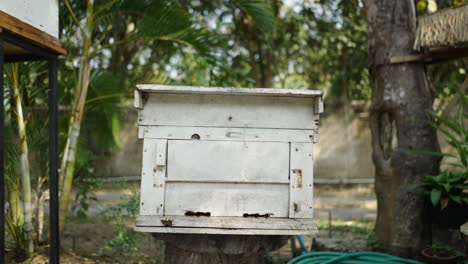 old weathered white wooden beehive in a lush outdoor setting