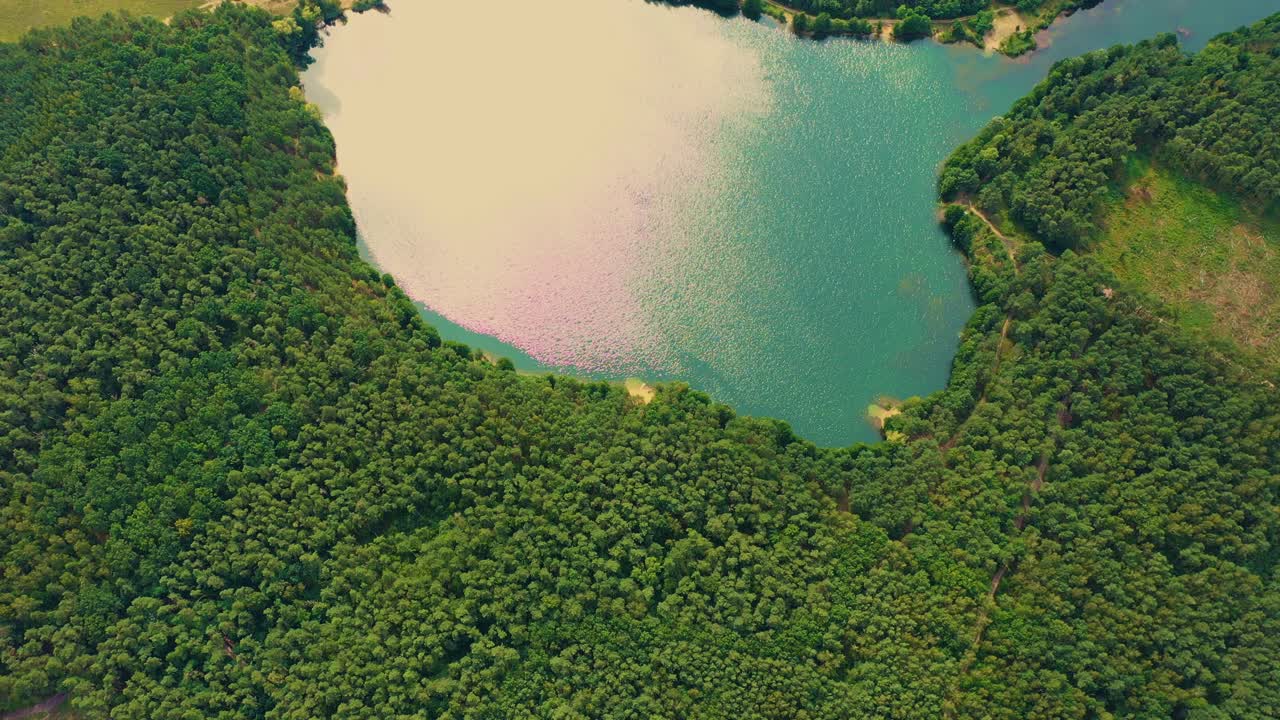 vista aérea del lago del bosque salvaje en verano