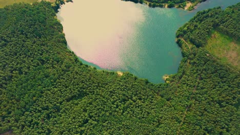 Aerial-view-of-wild-forest-lake-in-summer