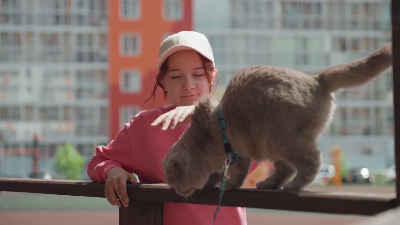 Grey Cat On Railing With Caucasian Girl Reaching Out And Petting, Playful Interaction On Balcony Rail Near Apartment Playground, Cap And Pink Sweater, Cat Exploring With Trust, Bright Urban Backdrop