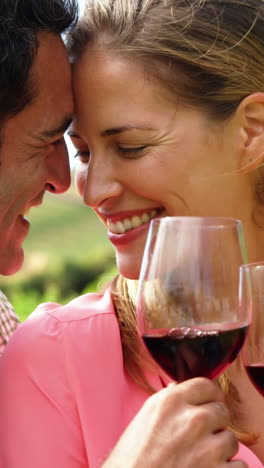 una pareja feliz abrazándose mientras brindan un vaso de vino en el campo