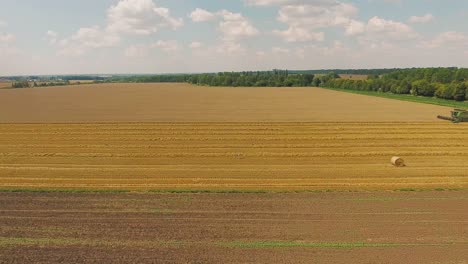 field of yellow wheat. aerial of tractor on harvest field