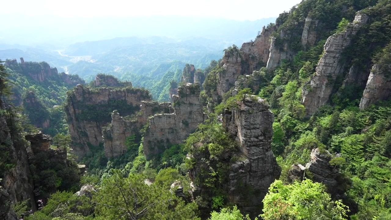Vista panoramica dei pilastri di arenaria nel Parco Forestale Nazionale di Zhangjiajie nella provincia di Hunan, Cina