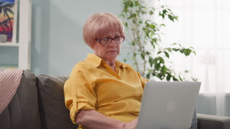 calm elderly woman works on notebook sitting on sofa at home