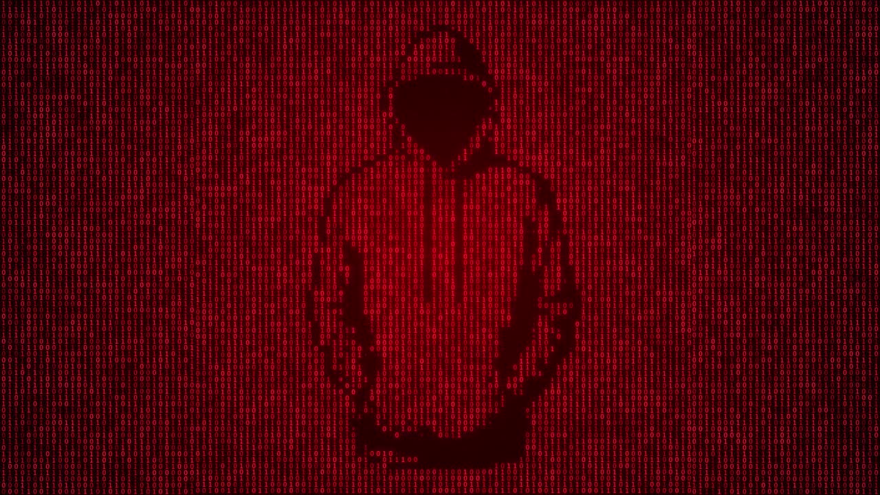 Sagoma di hacker digitale rossa in loop su sfondo matrice di codice binario. Animazione di cyber sicurezza, ransomware e attacco con violazione dei dati.
