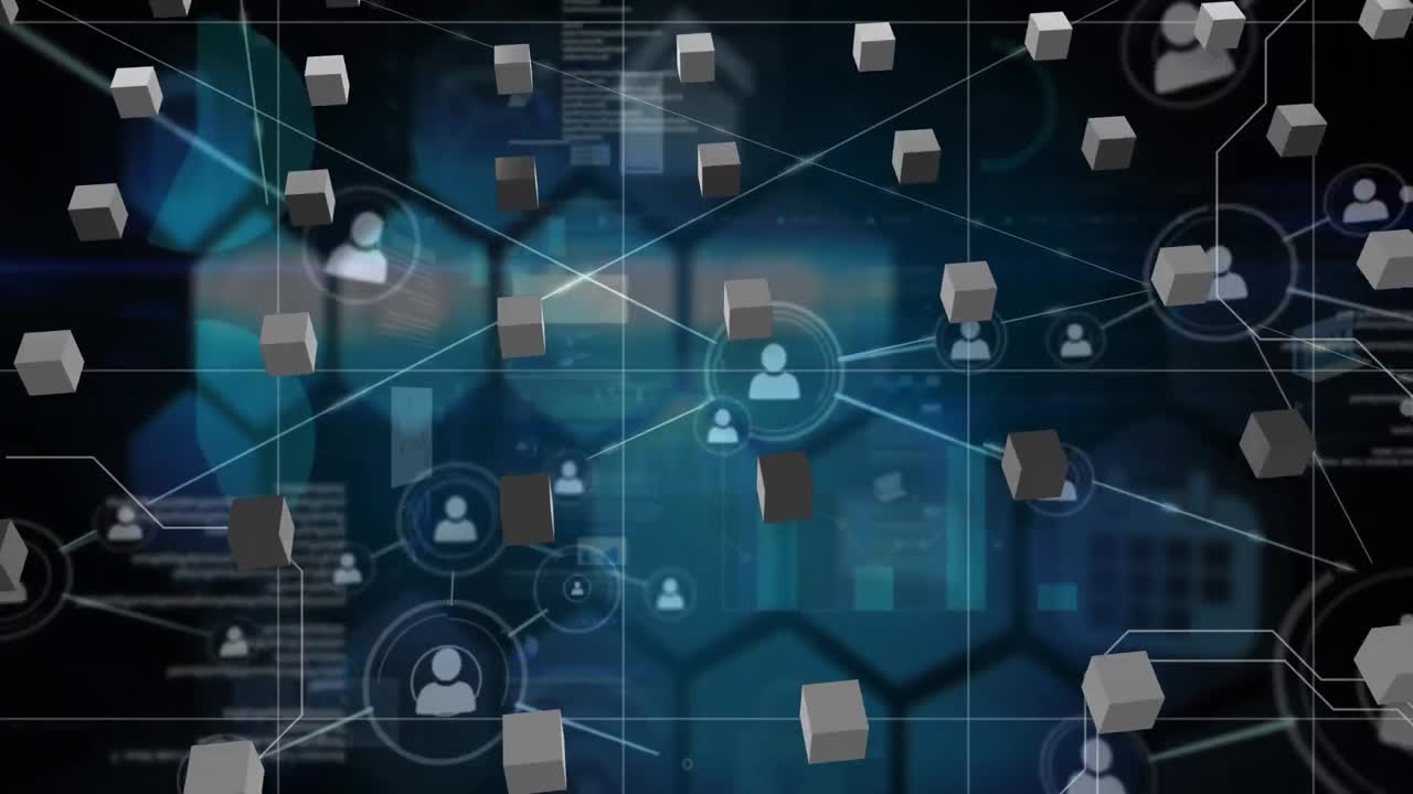 animación de la red de conexiones a través del procesamiento de datos