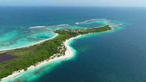 playa prístina con vegetación en el mar del caribe