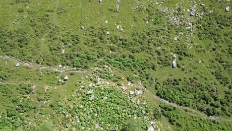 Amplia-Toma-Aérea-De-Pájaro-De-Una-Zona-Rocosa-Rodeada-De-Helechos-Verdes-Y-Páramos-Cubiertos-De-Hierba,-Dartmoor,-Inglaterra,-Madera-Wistmans