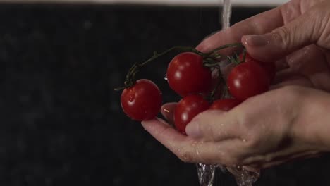 hermosos tomates rojos maduros se enjuagan cuidadosamente con agua limpia antes de servirlos con la comida - cerrar
