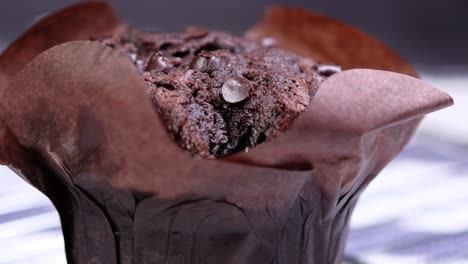 chocolate chip muffin