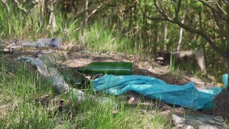 trash in nature - few bottles and plastic pollution in a grass, trees in the background, closeup