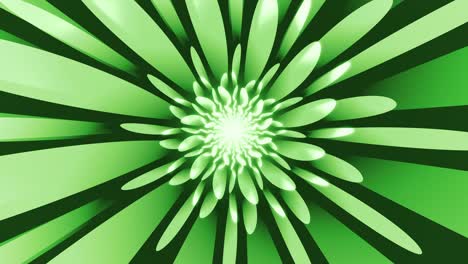 fondo verde abstracto con rayas de curva radial animación de bucle