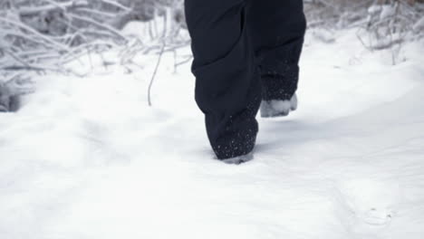 slow-motion tracking shot of man walking though snow in the forest