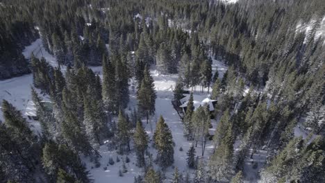 cabaña de bosque aislada en el bosque de invierno