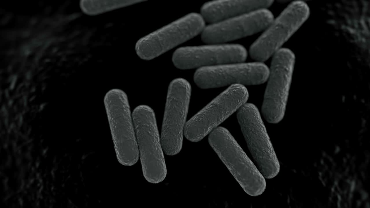vista microscópica en 4k de una colonia de bacterias.