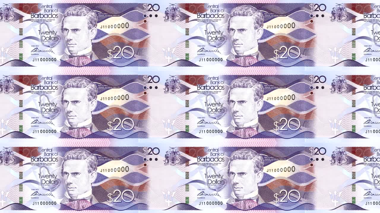 billetes de veinte dólares del banco de la isla de barbados rodando en la pantalla, monedas del mundo, dinero en efectivo, bucle