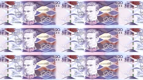 billetes de veinte dólares del banco de la isla de barbados rodando en la pantalla, monedas del mundo, dinero en efectivo, bucle