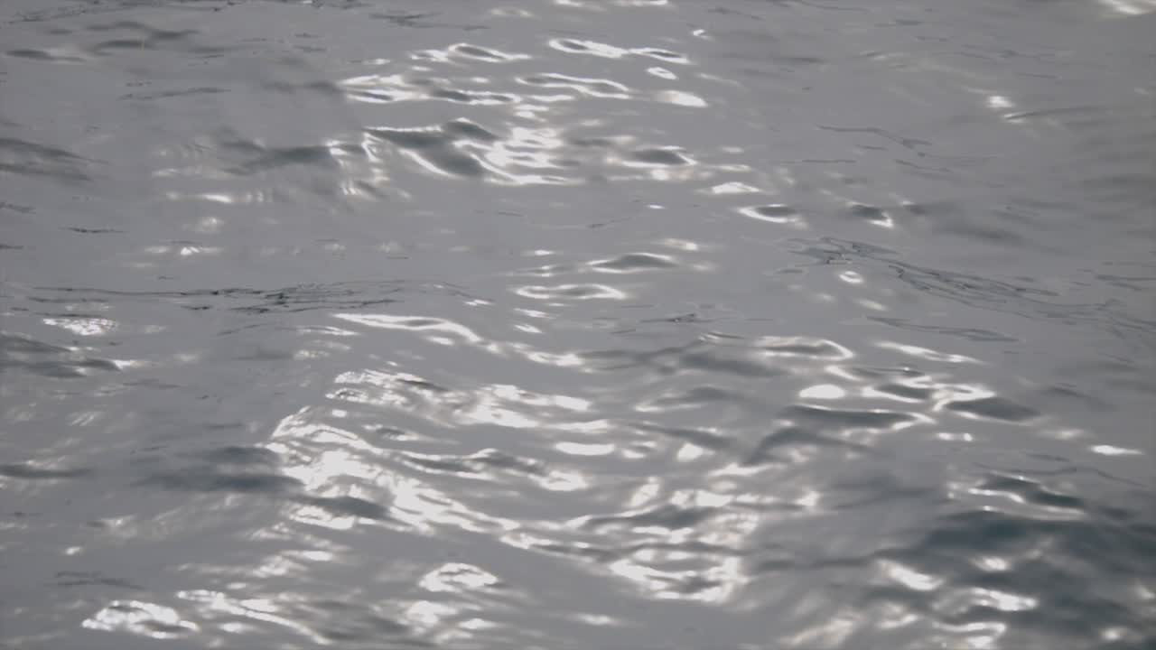 신선한 물의 호수의 물결에 반이는 빛