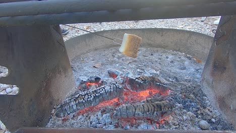 termine de asar malvaviscos grandes ligeramente tostados sobre brasas de fogata