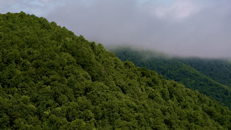 overcast skies and mist dominate this slow drone flyover in the smoky wilderness
